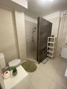 y baño con ducha y aseo. en Modern city-center apartment, en Debrecen