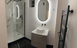 een badkamer met een wastafel en een spiegel en een douche bij Superbe F4 hyper centre/ parc pasteur in Orléans