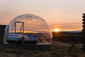 a dome tent in a field with the sunset in the background at Aurora Igloo in Hella