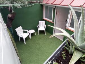 um pátio com duas cadeiras e uma planta em Green-Loft em Tacoronte
