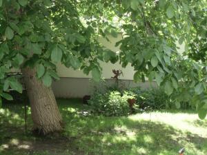 Фотография из галереи Ferienwohnung-Monika в городе Луккенвальде