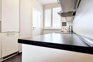 Een keuken of kitchenette bij Beautiful luxury apartment in City with Lake view