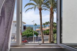 an open window with a view of palm trees at Apartamento Las Flores2 in San Bartolomé de Tirajana