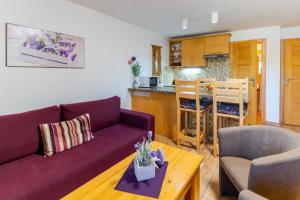 Kuchyň nebo kuchyňský kout v ubytování Apartmány Skihouse Jasná