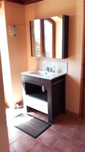 een badkamer met een wastafel en een spiegel bij Gite Des Retrouvailles in Malbosc