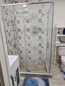een badkamer met een douche en een toilet bij SG Apartment Complex (Apt #1) in Linstead
