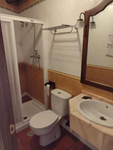 a bathroom with a toilet and a shower and a sink at La casa de Aza in Haza