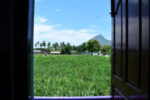 an open door looking out at a field of grass at Arunachala Mountain View House in Tiruvannāmalai