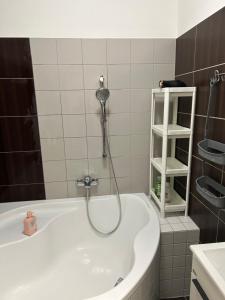 a bathroom with a bath tub with a shower at Fintajslova in Břeclav