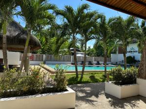 vista para a piscina num resort com palmeiras em Panglao Bamboo Oasis em Panglao