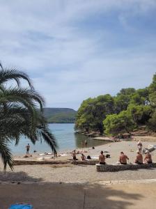 un groupe de personnes assises sur une plage dans l'établissement Apartments Bozjidar, à Stari Grad