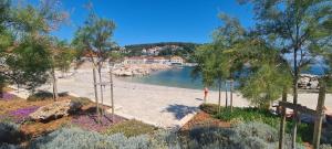 Blick auf einen Strand mit Bäumen und Wasser in der Unterkunft Apartment Bosiljak in Jelsa