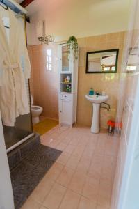 Dublanc的住宿－Maison de Lecointe，带淋浴、卫生间和盥洗盆的浴室
