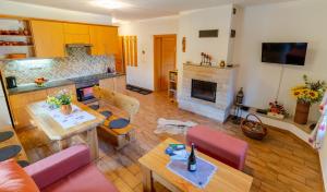 TV a/nebo společenská místnost v ubytování Apartmány Skihouse Jasná