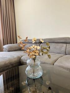 テルシェイにあるAmot apartamentaiの花瓶