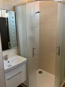 a bathroom with a shower and a sink at Apartmány na Trojce in Žatec