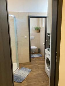 a bathroom with a toilet and a washing machine at Apartmány na Trojce in Žatec