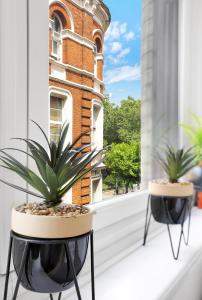 duas plantas numa varanda com um edifício em Central Hoxton High Spec 2 Bed! em Londres