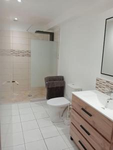 a bathroom with a toilet and a sink and a shower at Gîte la lavande provençale in Saint-Paul-Trois-Châteaux