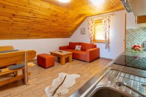 Posezení v ubytování Apartmány Skihouse Jasná