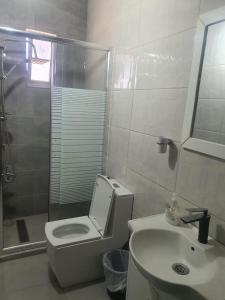 Koupelna v ubytování Alfares Hotel
