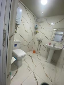 ein Bad mit einem WC und einem Waschbecken in der Unterkunft Happy home Narimanov in Baku
