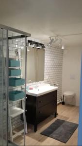 ルーアンにあるHavre de Paix au Centre de Rouenのバスルーム(洗面台、トイレ、鏡付)