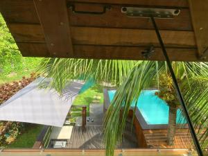 una vista aérea de una casa con una palmera en Cabane des Zamoureux, en Ducos