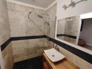 een badkamer met een wastafel en een douche bij Le Shala - 55m² + Jardin in Tabanac