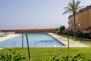 a large swimming pool in a building with grass at Apto. primera línea playa, Retamar, Cabo de Gata (1º) in Retamar