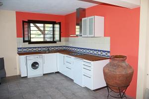 a kitchen with red walls and a vase at Ladanos Apartment Thassos in Kallirákhi