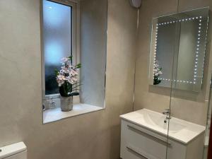 a bathroom with a sink and a mirror and a vase of flowers at Spacious 2 Bedroom Flat in heart of Ballater in Ballater