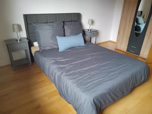 a bedroom with a large bed with a blue pillow at Zuhause in Hofs ,Leutkirch im Allgäu in Leutkirch im Allgäu