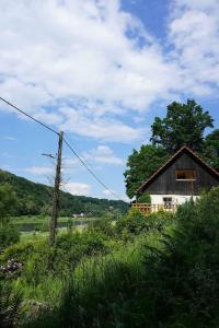 una piccola casa in un campo vicino a un fiume di Ferienwohnung im grünen Elbtal a Stadt Wehlen