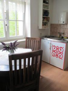 una cucina con tavolo, piano cottura e frigorifero di Ferienwohnung im grünen Elbtal a Stadt Wehlen