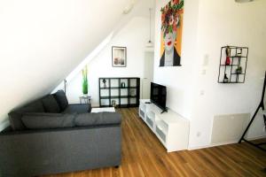 een woonkamer met een bank en een tv bij Work & Stay Apartment Ingolstadt in Ingolstadt