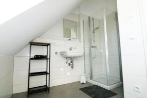 een badkamer met een douche en een wastafel bij Work & Stay Apartment Ingolstadt in Ingolstadt