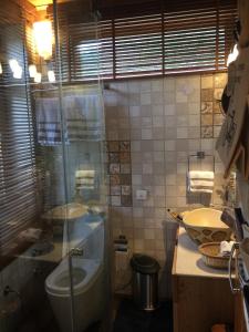 マナリにあるChalet Shanag Manaliのバスルーム(トイレ、洗面台付)
