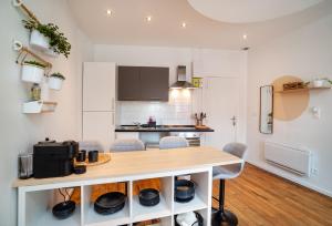 Kuchyňa alebo kuchynka v ubytovaní Appartement cosy NANCY
