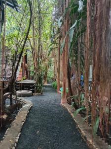 a path through a forest of trees next to a building at Ratanakiri Homestay & Jungle Trek in Banlung