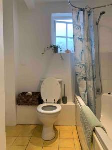 a bathroom with a toilet and a window and a shower at Large Apartment - 20 mins to the City in London