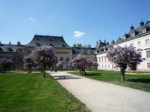 Gallery image of Ferienwohnung Villa Fiedler in Dresden