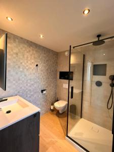 a bathroom with a shower and a sink and a toilet at Inova Guesthouse in Hasselt