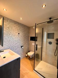 een badkamer met een douche, een wastafel en een toilet bij Inova Guesthouse in Hasselt
