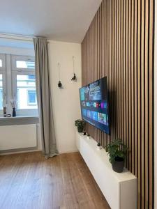 sala de estar con TV de pantalla plana en la pared en Stylisches Apartment in zentraler Lage mit Balkon, en Karlsruhe