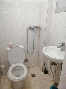 a bathroom with a toilet and a sink at Apartamenty u Deribasovskoi in Odesa