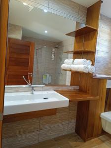 ein Badezimmer mit einem weißen Waschbecken und einer Dusche in der Unterkunft AU JASMIN DE NUIT in La Plaine des Palmistes