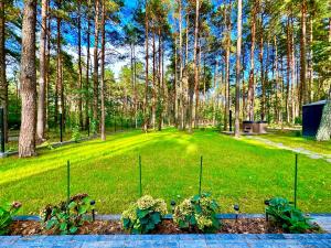 a garden with some plants in the grass at Domek na Jurze in Kroczyce