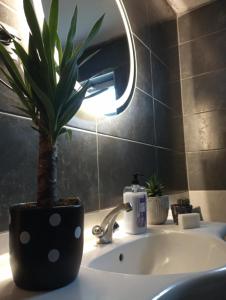 a bathroom with a potted plant on a sink at Garden Village Home in Ayvalık