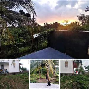 un collage de fotos de una casa y una palmera en Studio avec sa terrasse et son jardinet dans un écrin de verdure en Les Abymes